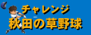 �H�c�̑��싅�T�C�g �`�������W�H�c�̑��싅 �M���I�X�^�W�A���I�A�H�c�A���싅�A�`�������W�A�M���A�X�^�W�A���A�싅�D���A�h���S���J�b�v